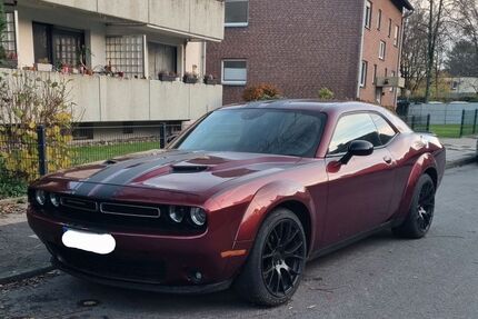 Dodge Challenger Gebrauchtwagen