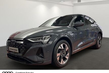 Audi Q8 e-tron Gebrauchtwagen