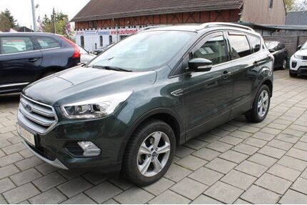 Ford Kuga Gebrauchtwagen