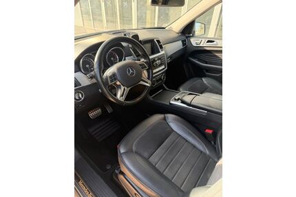 Mercedes-Benz ML 250 Gebrauchtwagen