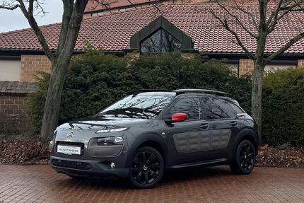 Citroen C4 Cactus Gebrauchtwagen