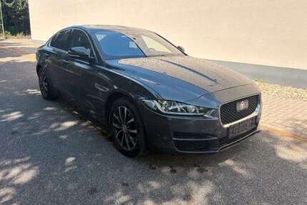 Jaguar XE Gebrauchtwagen