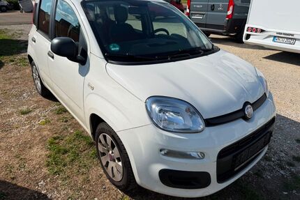 Fiat Panda Gebrauchtwagen