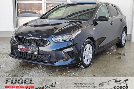 Kia ceed / Ceed Gebrauchtwagen