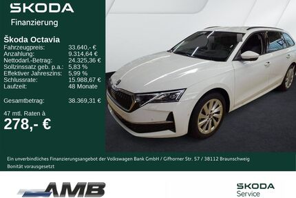 Skoda Octavia Gebrauchtwagen