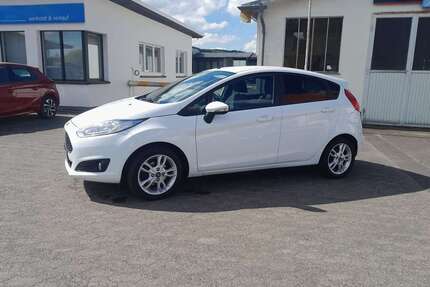 Ford Fiesta Gebrauchtwagen