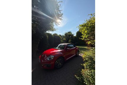 VW Beetle Gebrauchtwagen