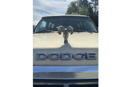 Dodge Andere Gebrauchtwagen