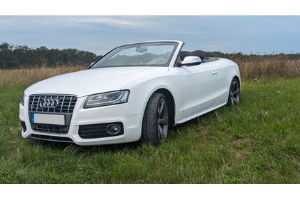 Audi S5 Gebrauchtwagen