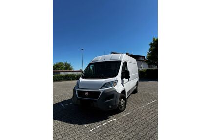Fiat Ducato Gebrauchtwagen