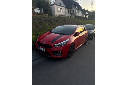 Kia pro ceed / ProCeed Gebrauchtwagen
