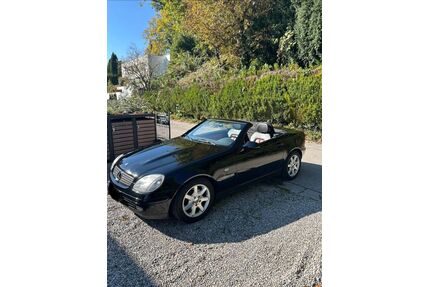 Mercedes-Benz 230 Gebrauchtwagen