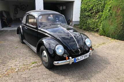 VW Käfer Gebrauchtwagen