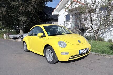 VW New Beetle Gebrauchtwagen