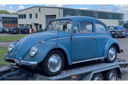 VW Käfer Gebrauchtwagen