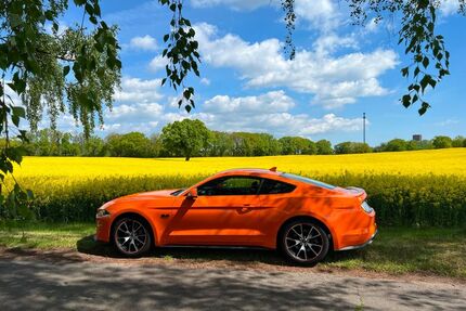 Ford Mustang Gebrauchtwagen