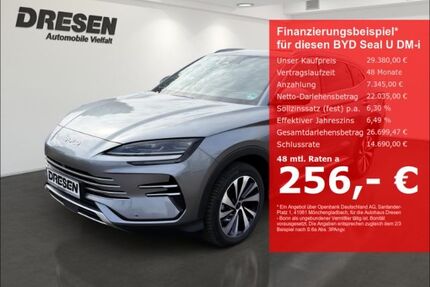 BYD SEAL U Gebrauchtwagen