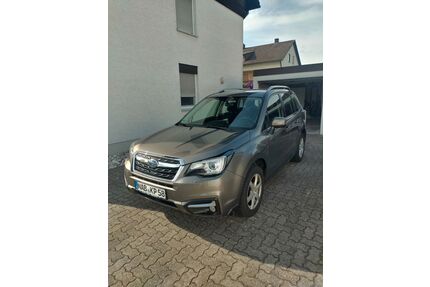 Subaru Forester Gebrauchtwagen