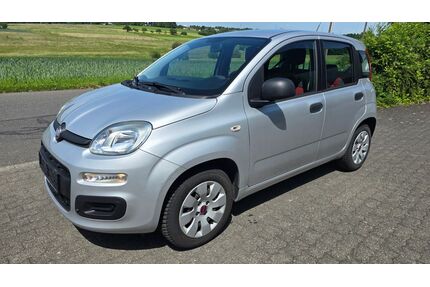 Fiat Panda Gebrauchtwagen