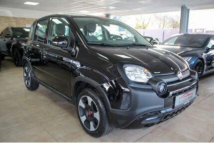 Fiat Panda Gebrauchtwagen