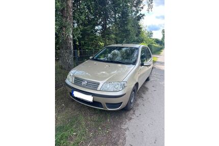 Fiat Punto Gebrauchtwagen