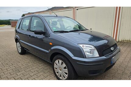 Ford Fusion Gebrauchtwagen