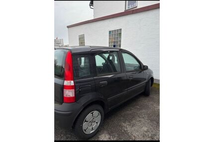 Fiat Panda Gebrauchtwagen