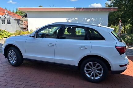 Audi Q5 Gebrauchtwagen