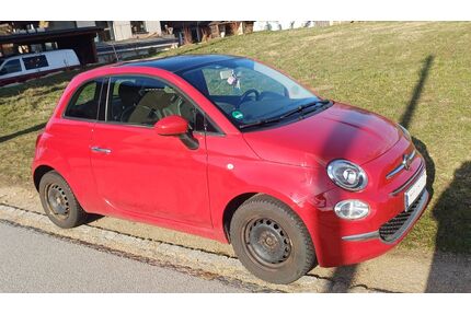 Fiat 500 Gebrauchtwagen