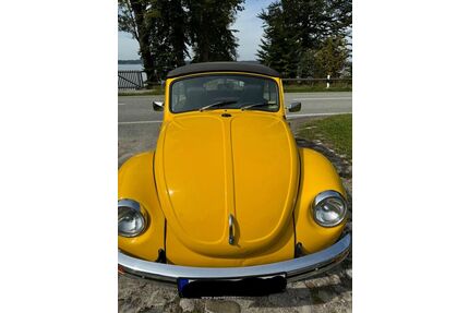 VW Käfer Gebrauchtwagen