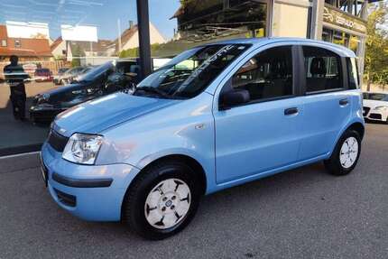 Fiat Panda Gebrauchtwagen