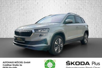 Skoda Karoq Gebrauchtwagen