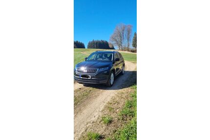 Skoda Kodiaq Gebrauchtwagen