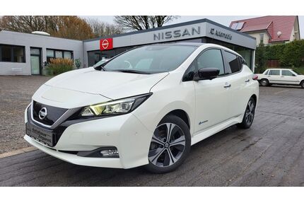 Nissan Leaf Gebrauchtwagen