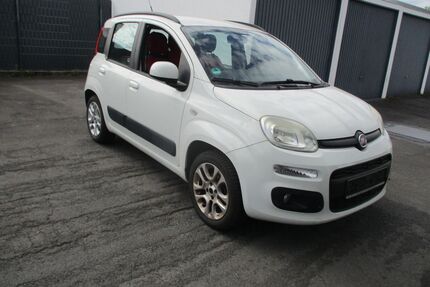 Fiat Panda Gebrauchtwagen