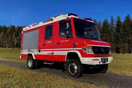 Mercedes-Benz Vario Gebrauchtwagen