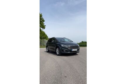 Ford S-Max Gebrauchtwagen