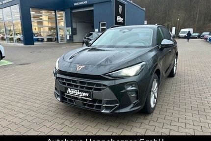 Cupra Terramar Gebrauchtwagen