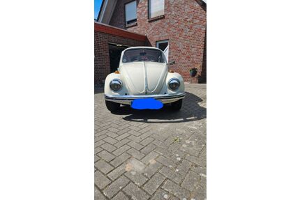 VW Käfer Gebrauchtwagen