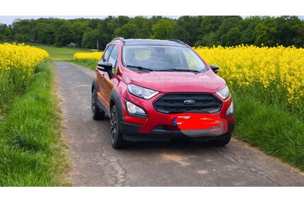 Ford EcoSport Gebrauchtwagen