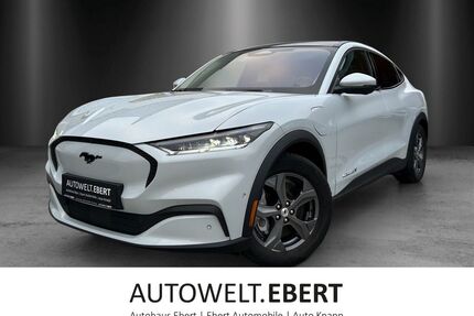 Ford Mustang Mach-E Gebrauchtwagen