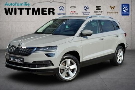 Skoda Karoq Gebrauchtwagen