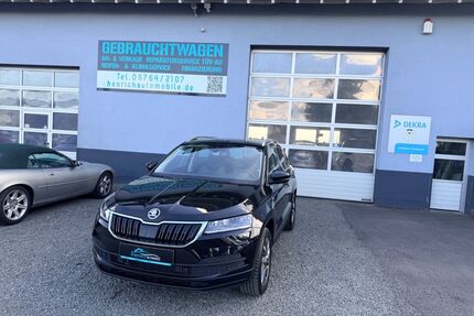 Skoda Karoq Gebrauchtwagen