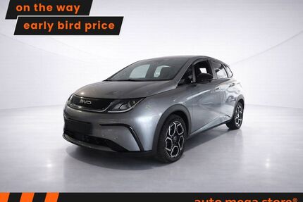 BYD DOLPHIN Gebrauchtwagen