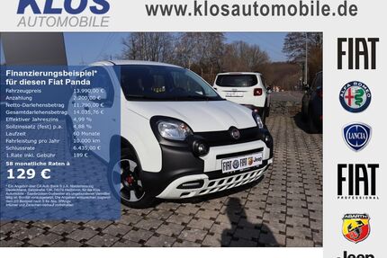 Fiat Panda Gebrauchtwagen