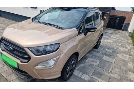 Ford EcoSport Gebrauchtwagen
