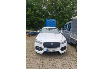 Jaguar F-Pace Gebrauchtwagen