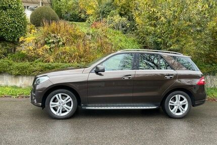 Mercedes-Benz ML 350 Gebrauchtwagen