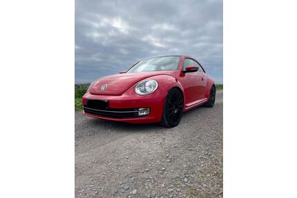 VW Beetle Gebrauchtwagen