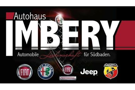 Fiat 500e Gebrauchtwagen